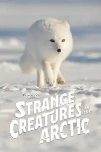 Strange Creatures of the Arctic (2022) 2