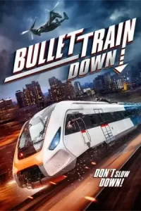 เว็บดูหนัง Bullet Train Down (2022)