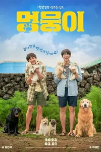 หนังเกาหลี2023.moviefree23.หนังใหม่.My Heart Puppy (2023)