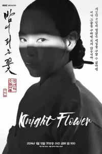 ดูซีรีย์เกาหลี เรื่อง Knight Flower 2024 ซับไทย ดูซีรีย์ใหม่2024