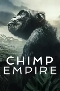 ซีรีส์ออนไลน์ เรื่อง Chimp Empire อาณาจักรชิมแปนซี (2023)
